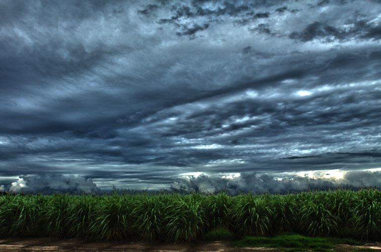 Storm-Clouds-Raising-Cane-in-Louisiana.jpg
