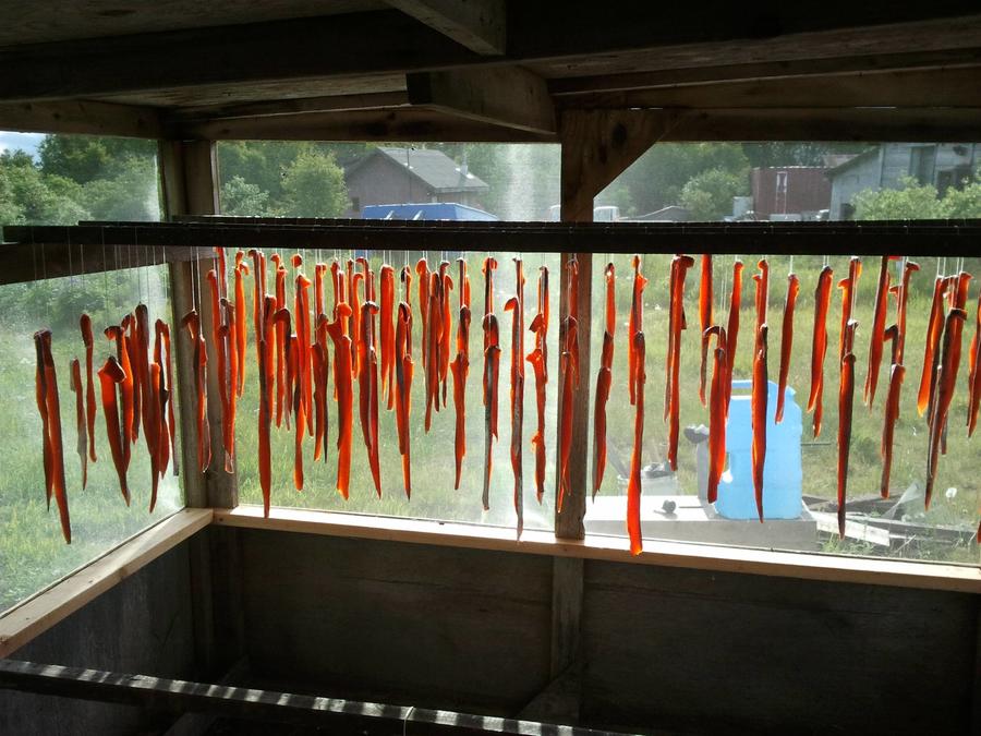 Strips Drying to form Pellicle.jpg