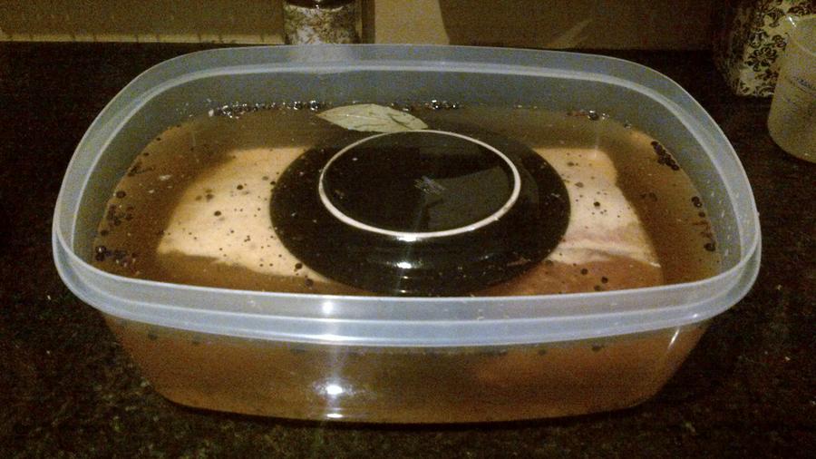 submerged in brine.jpg