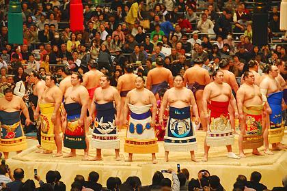 sumo.jpg