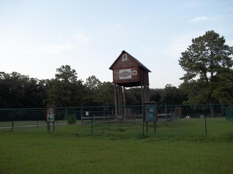 suwannee 016.JPG