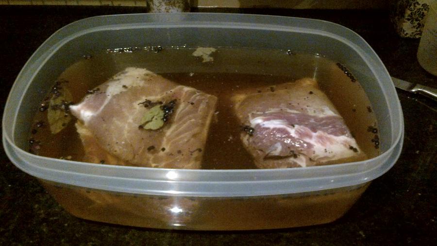 swimming in brine.jpg