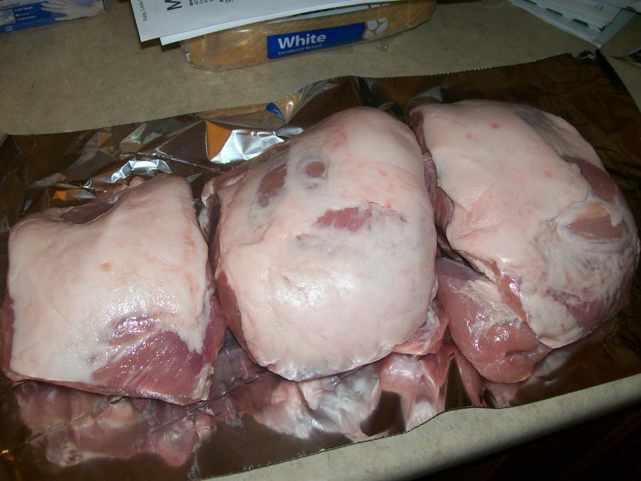T BONE 010.jpg