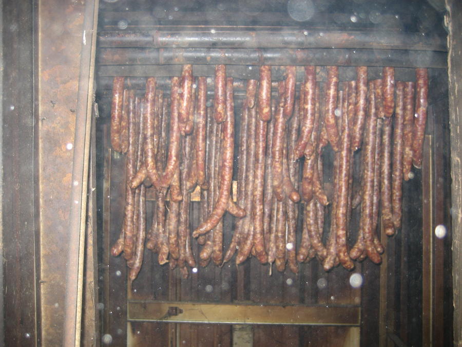 Taking a peek (that's bamboo hanging rods).jpg