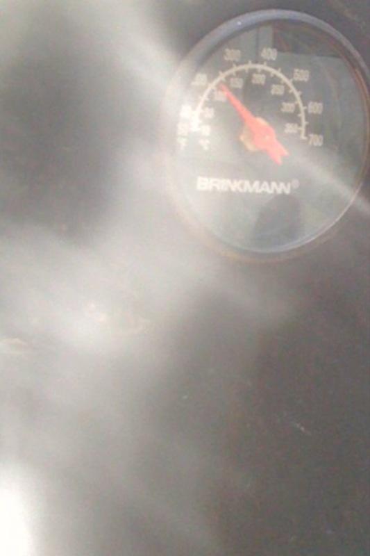 TempGauge225.jpg