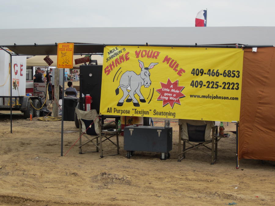 Texas BBQ Festival 2013 003.jpg