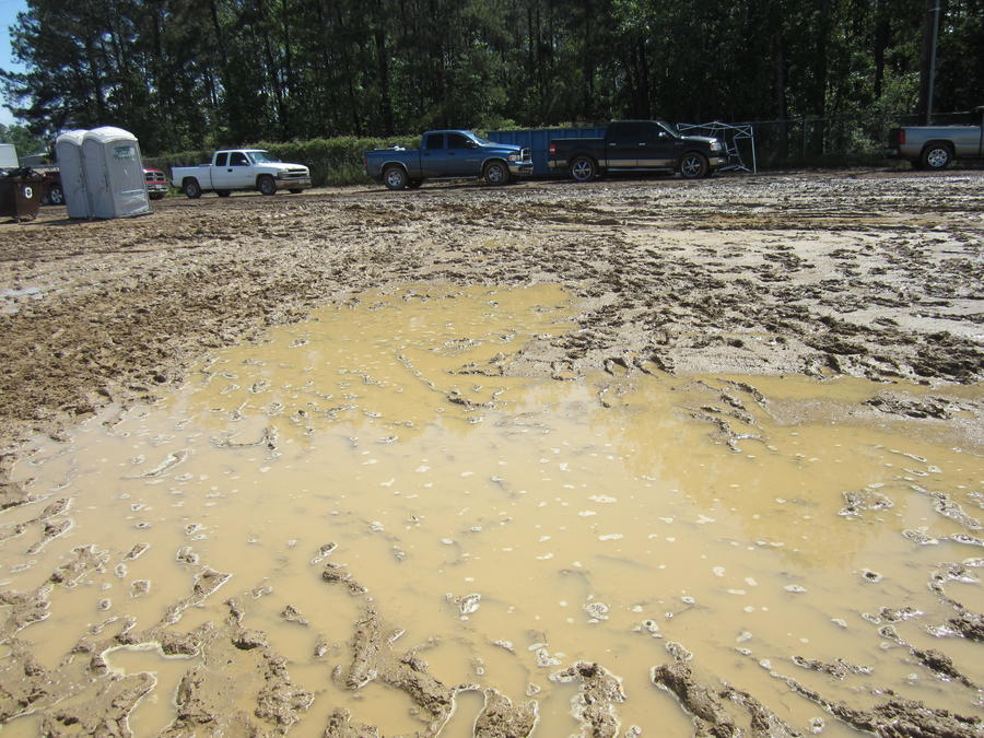 Texas BBQ Festival 2013 032.jpg