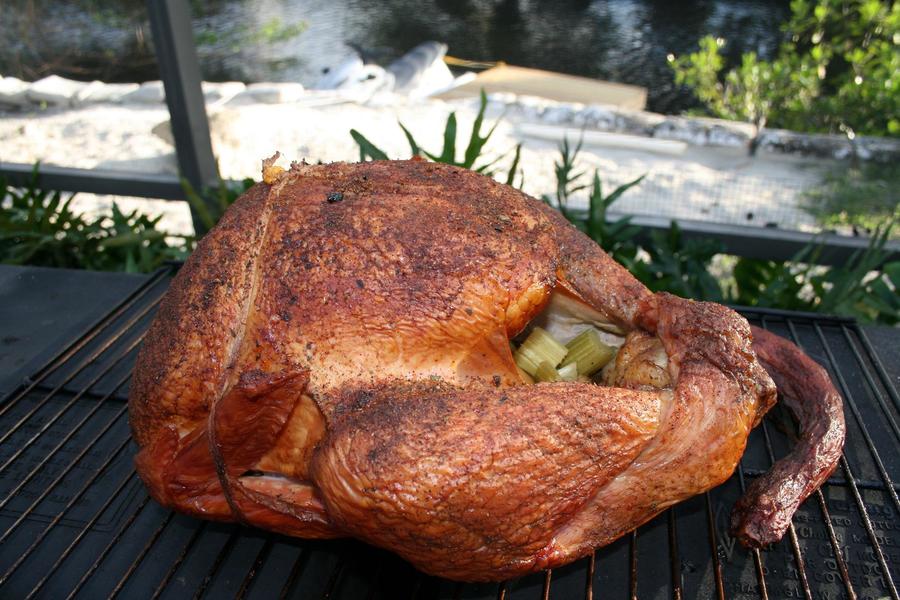 thanksgiving 008.jpg