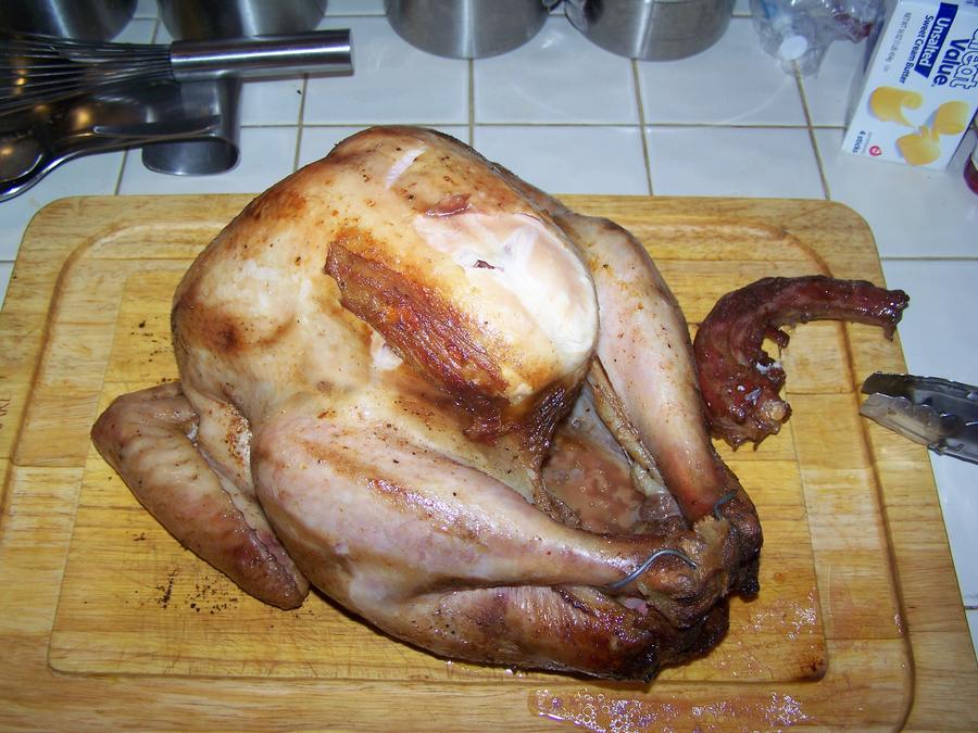 Thanksgiving 2010 031.JPG