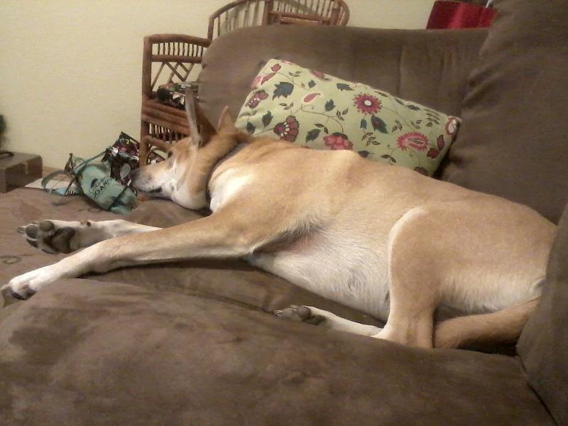 Thanksgiving 2012 089.jpg