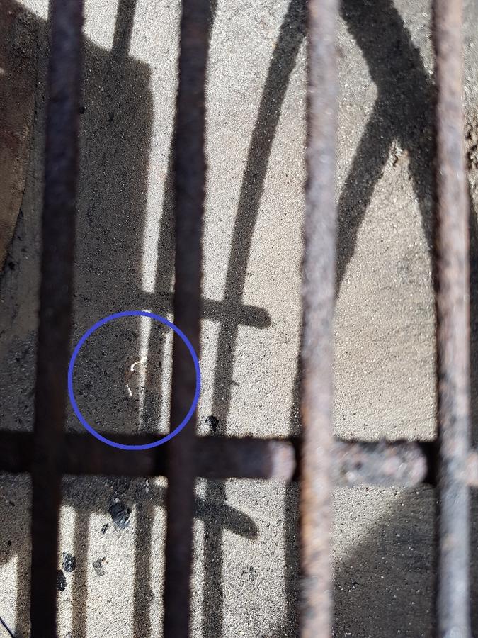 The crack.jpg