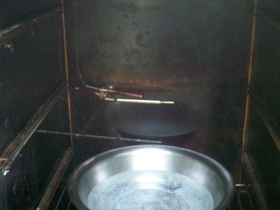 Thermostat and thermometer bulbs.jpg