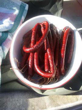 tmpphpjirKQK-stixs done.jpg