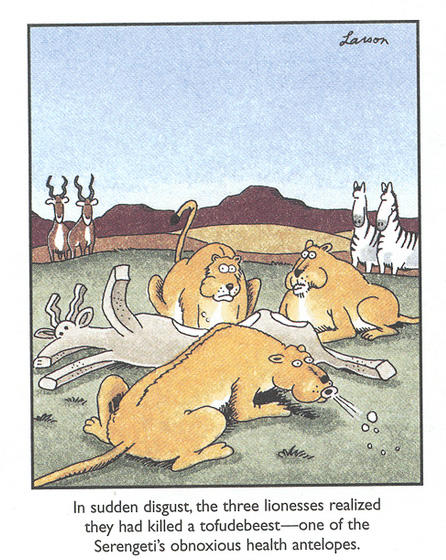 Tofudebeest.jpg