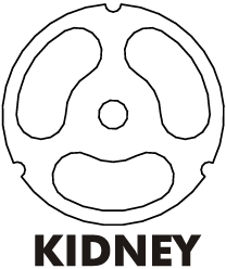 torrey-kidney-plate.gif