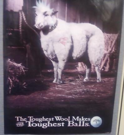 Toughest Wool.JPG