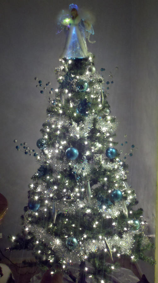 tree.jpg
