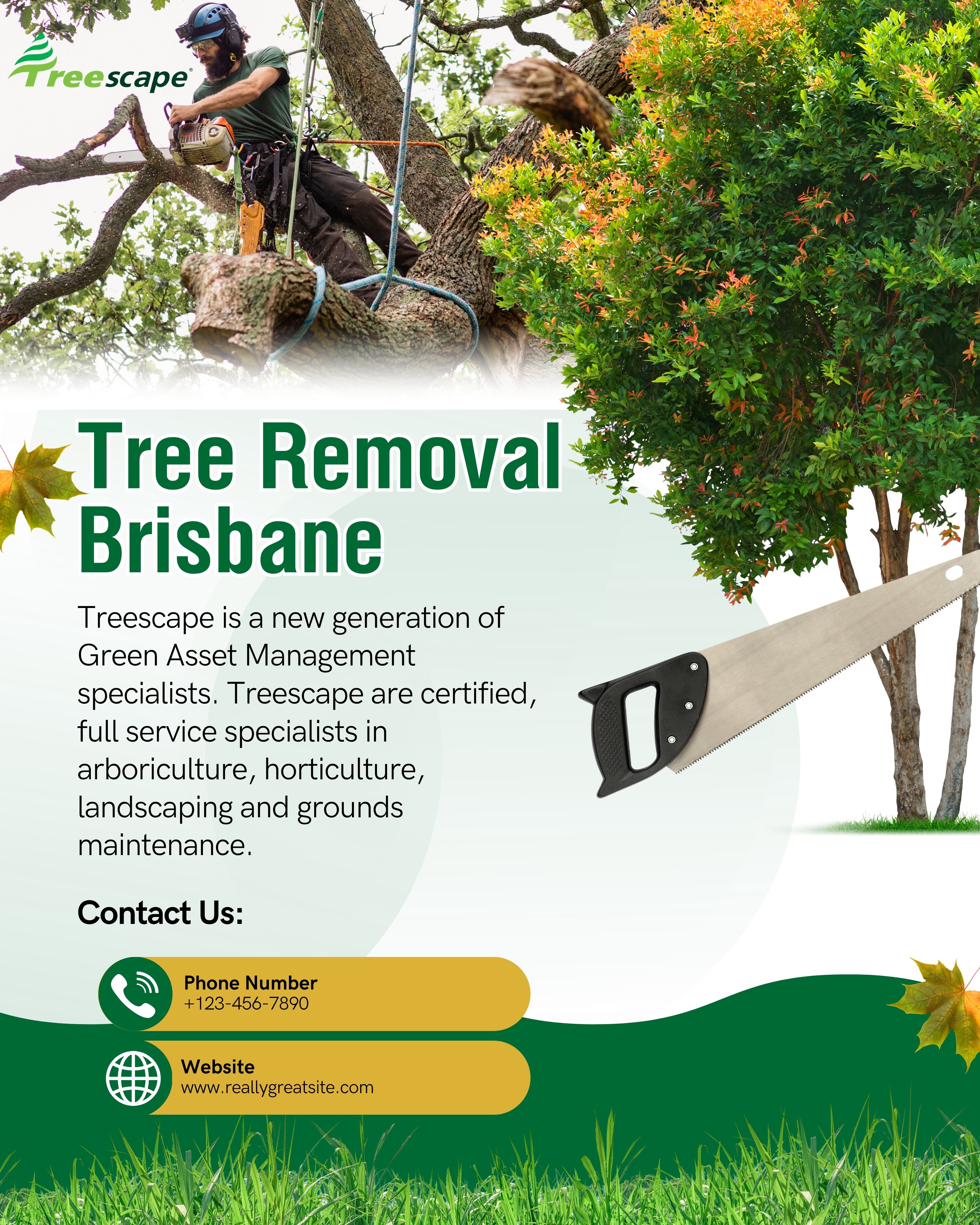 Tree Removal Brisbane.jpg