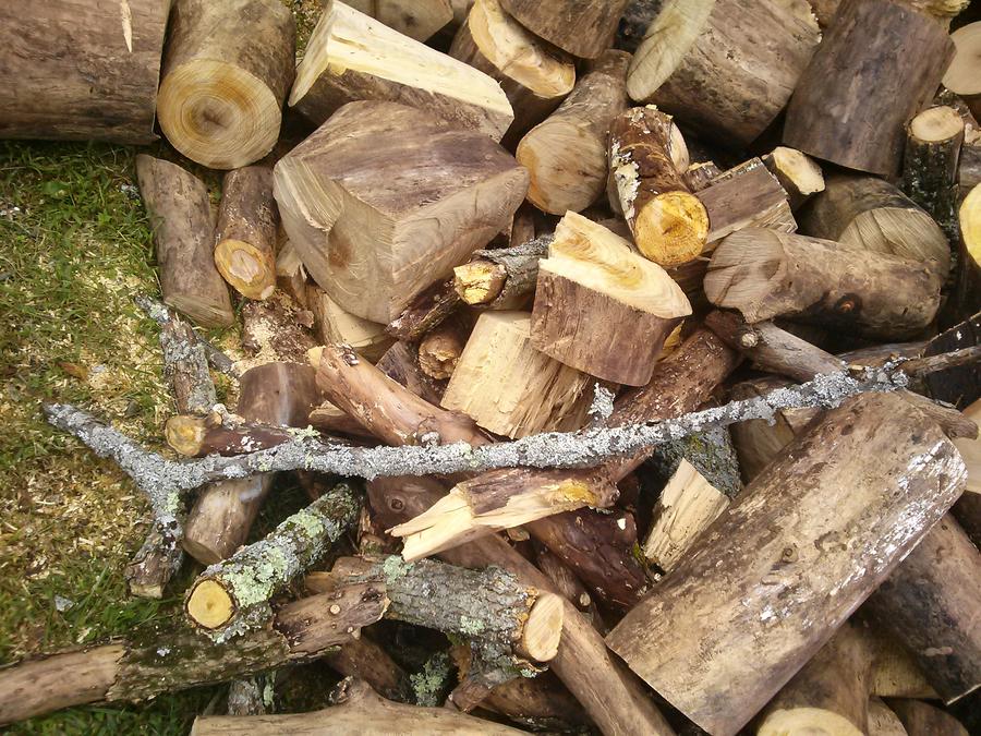 tree3.jpg