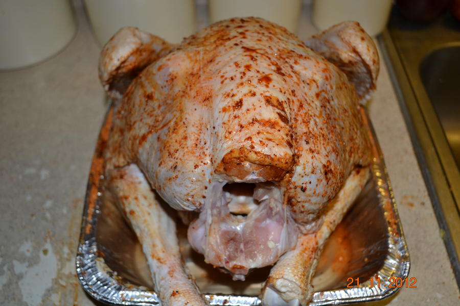 turkey 002.jpg