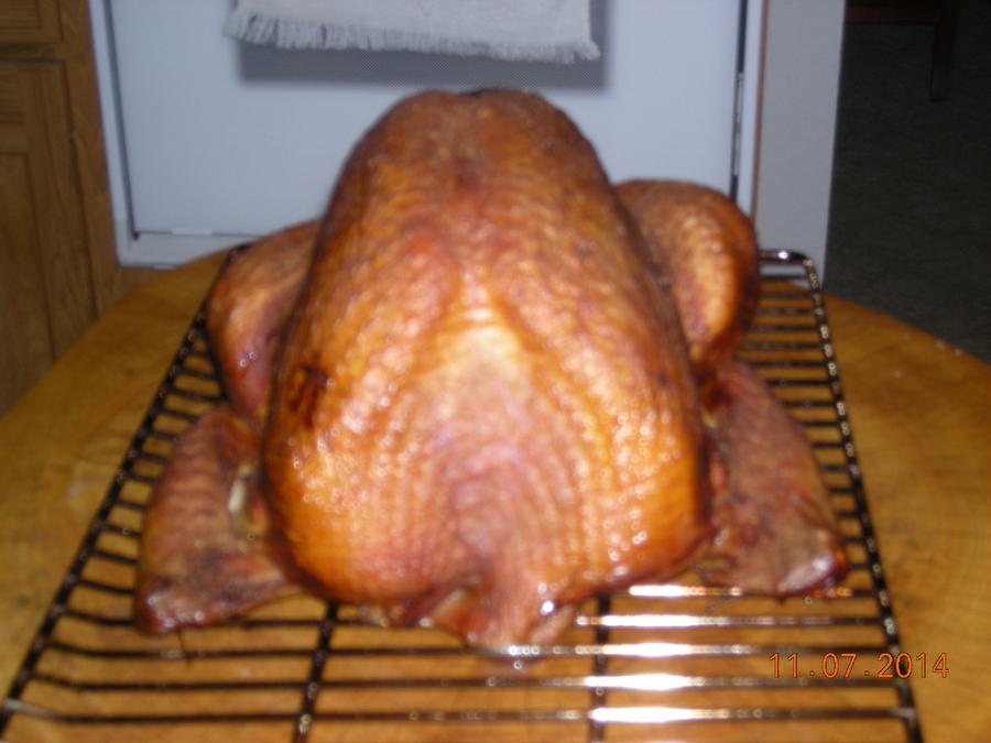 turkey 11-7-14 001.JPG