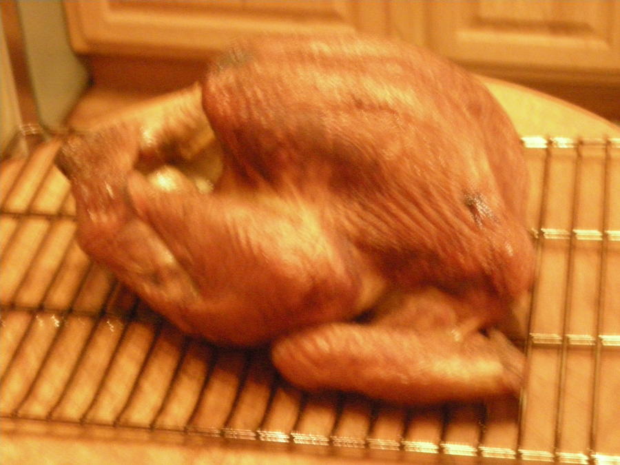 turkey 11-7-14 007.JPG