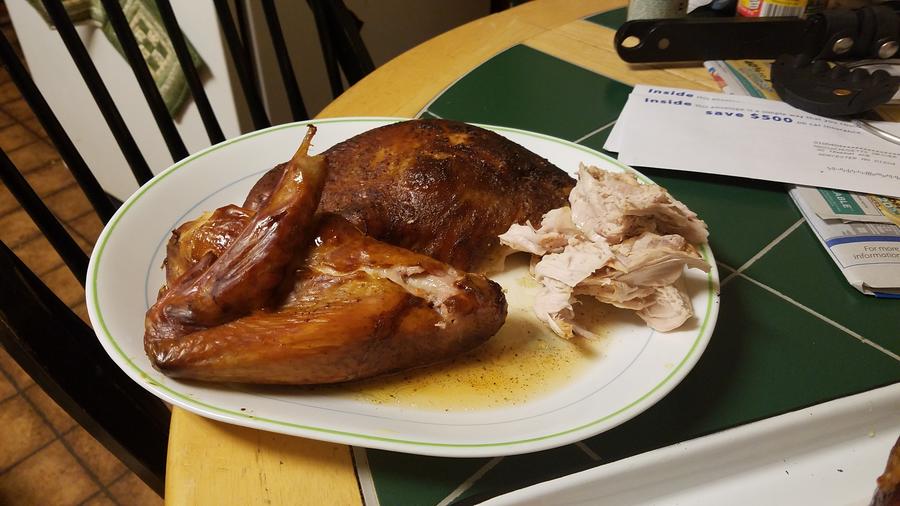 turkey 2.jpe