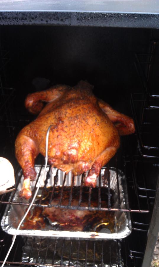 turkey at 140 IT.jpg