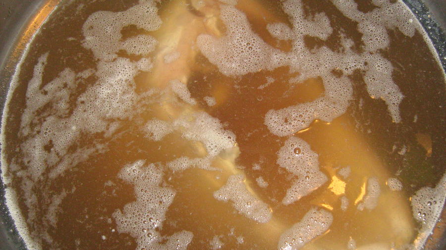 TURKEY BREAST _ 5-18-12 003.JPG