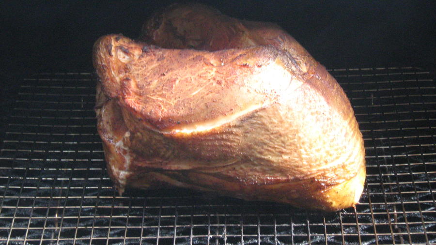 TURKEY BREAST _ 5-18-12 003.JPG