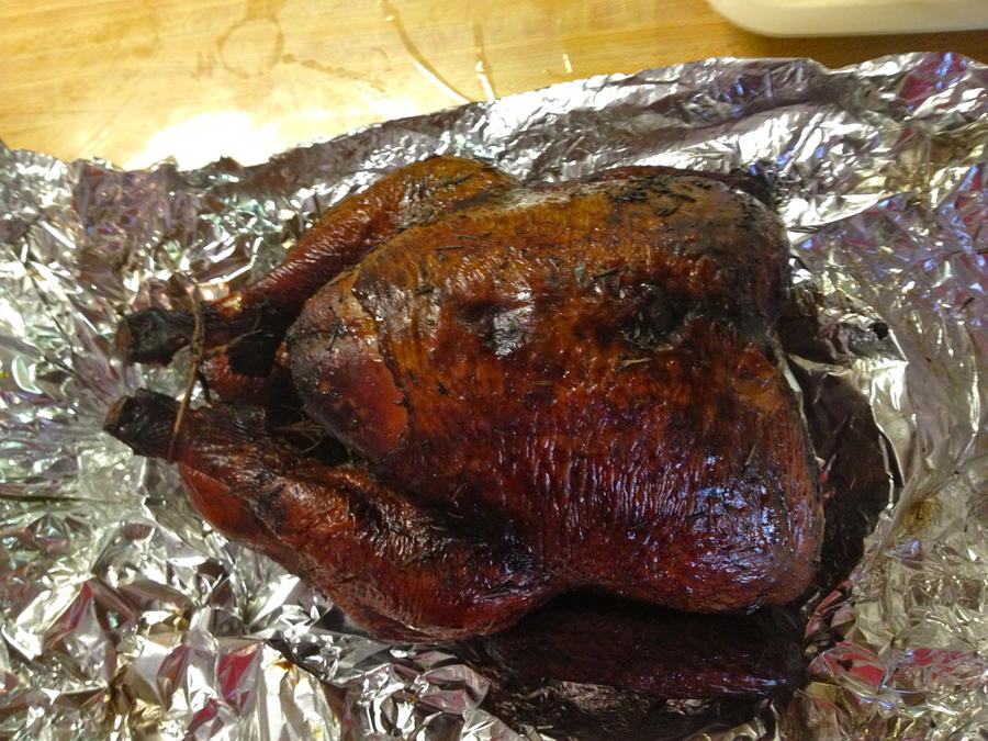 turkey dome 11-24-12.JPG