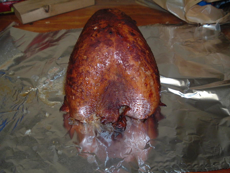 turkey feb 12-2.JPG