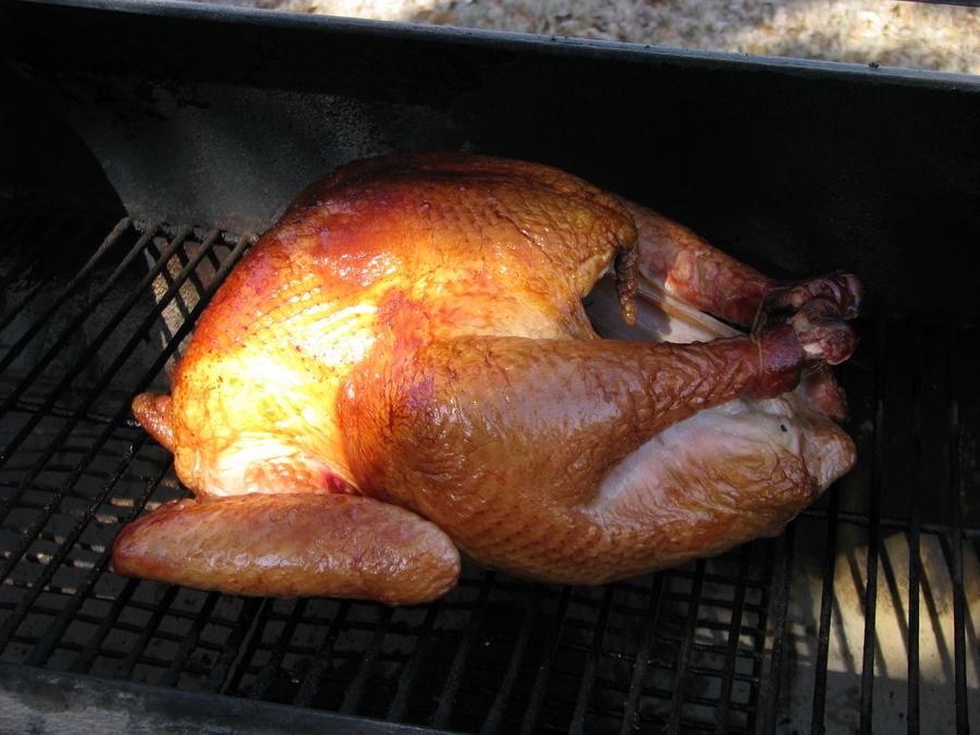 turkey.jpg