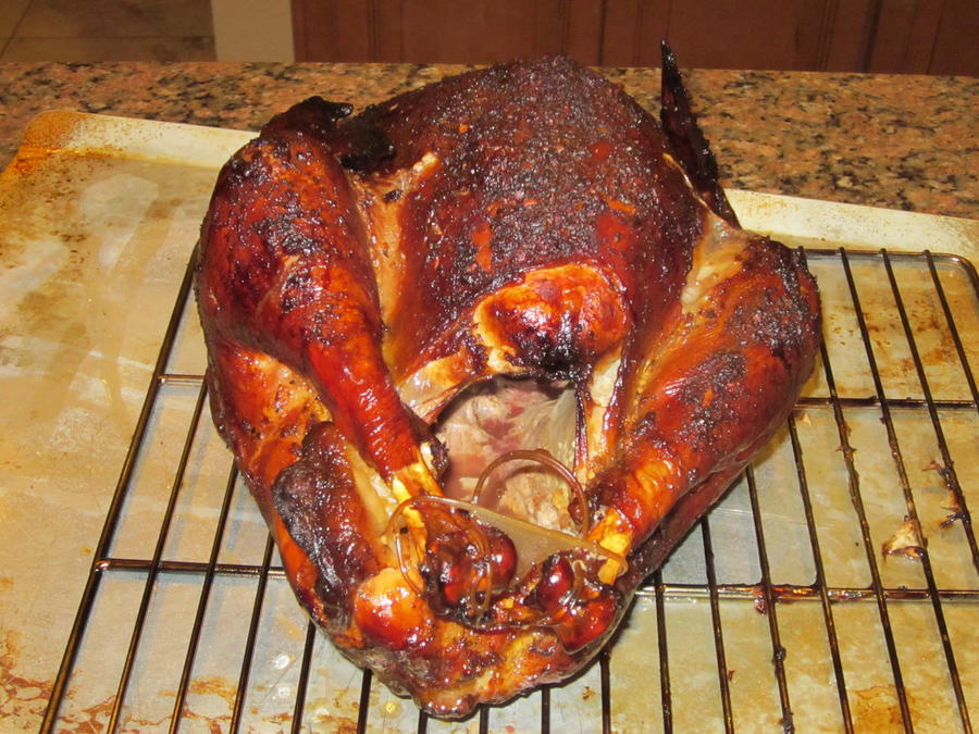 Turkey Smoking 008.JPG