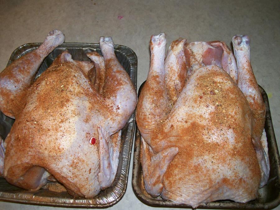 turkeys for work 002.jpg