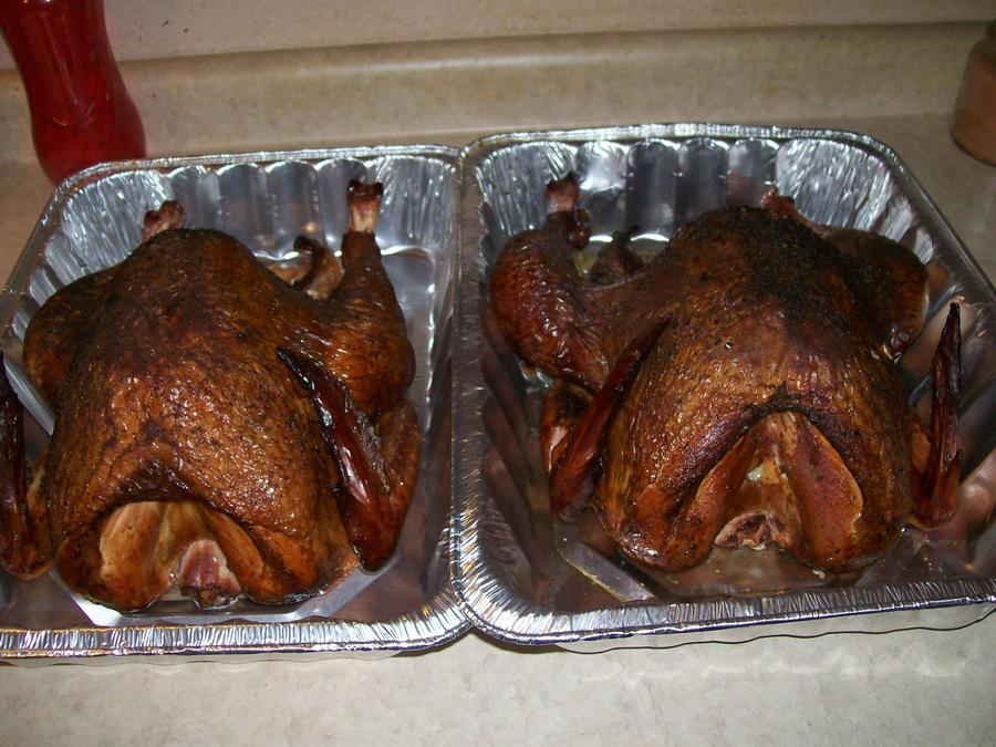 turkeys for work 004.jpg