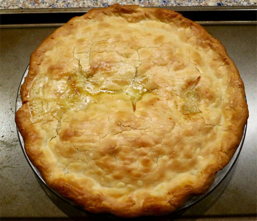turkpotpie_zps1820336f.jpg