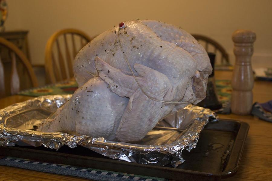 turkrubbed.jpg
