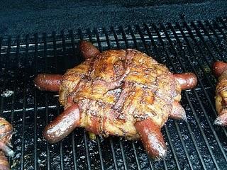 turtle 2-21-10 100.JPG