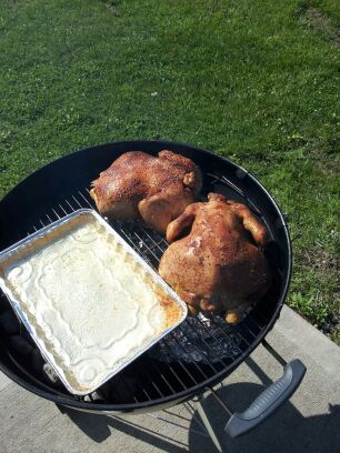 Two Birds One Weber.png