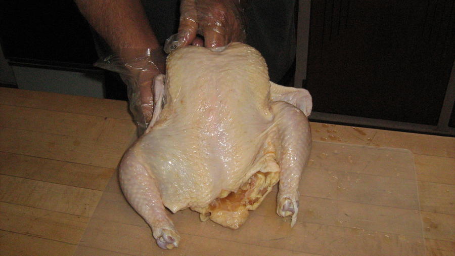 Two Chickens on Lil Girl 003.JPG
