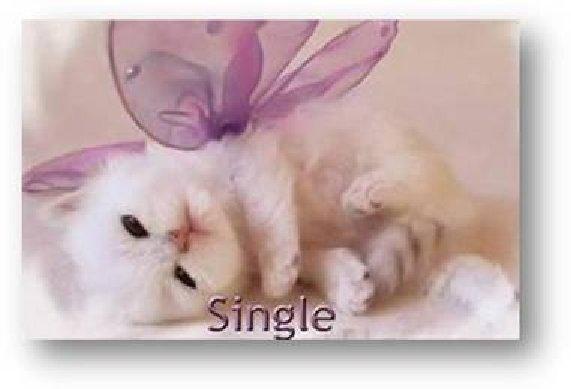 Untitled attachment 00025.jpeg