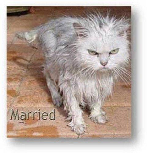 Untitled attachment 00028.jpeg