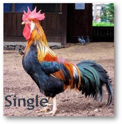 Untitled attachment 00034.jpeg