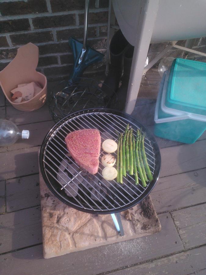 Weber Grill 2.jpg
