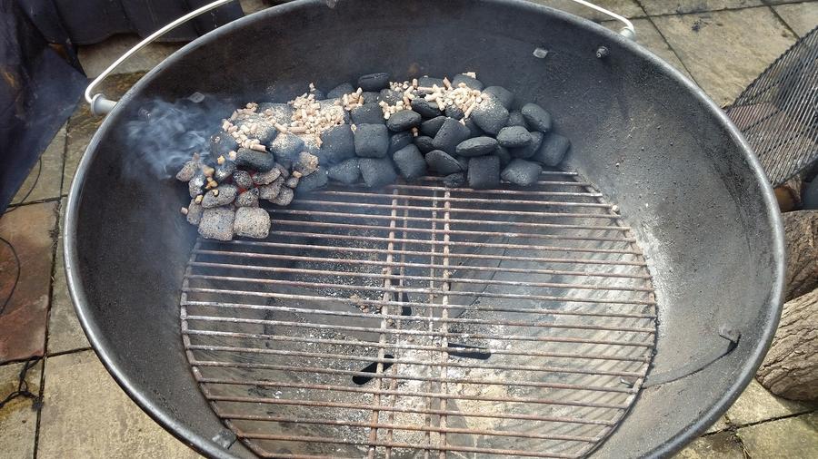 Weber Snake.jpg