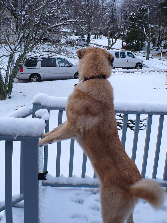 What's all this white stuff.JPG