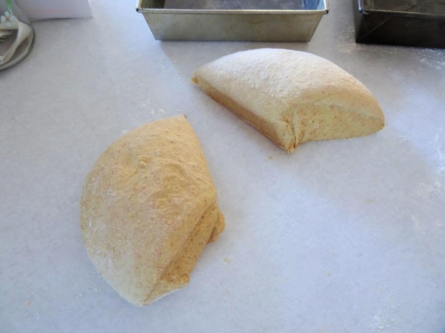 Whole Wheat Brat Buns 13.jpg