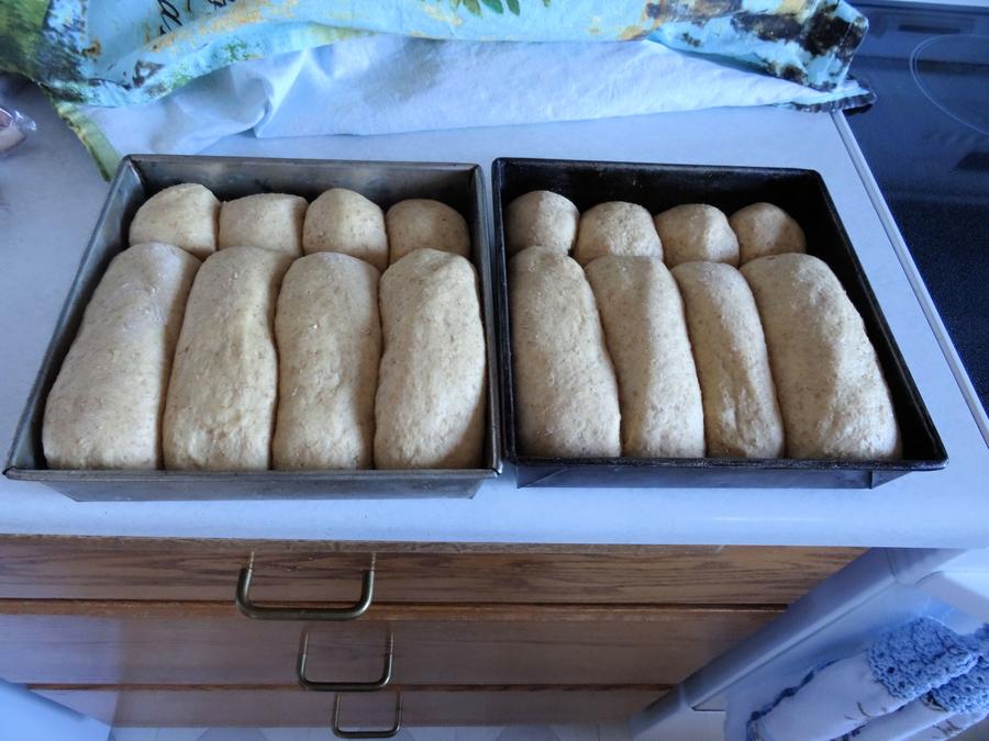 Whole Wheat Brat Buns 17.jpg