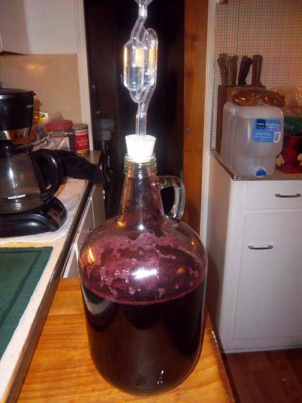 wine.jpg